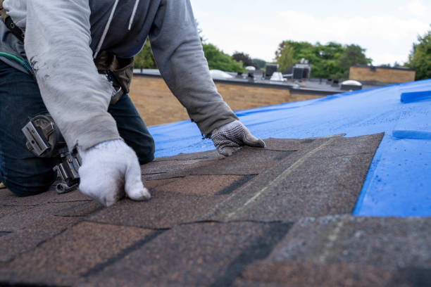 Best New Roof Installation  in Resaca, GA