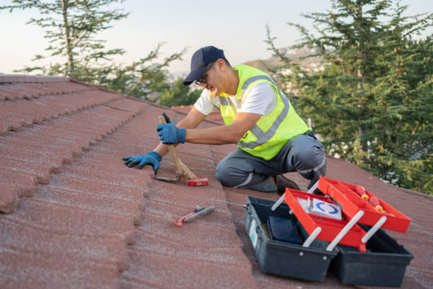 Best Gutter Installation and Roofing  in Resaca, GA